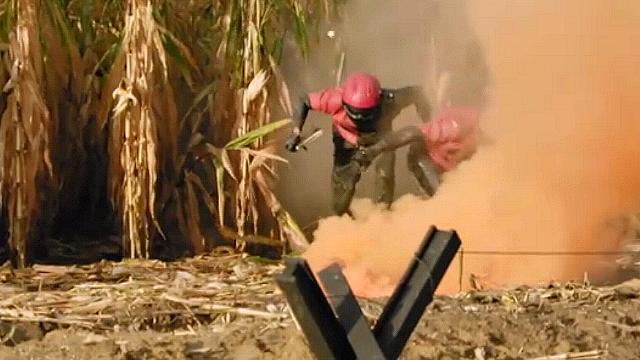 De Mol