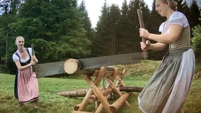 De Mol