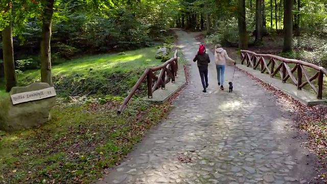 De Mol