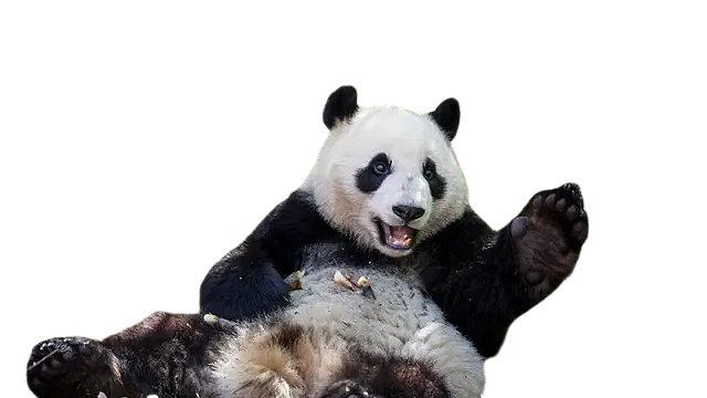Sandra