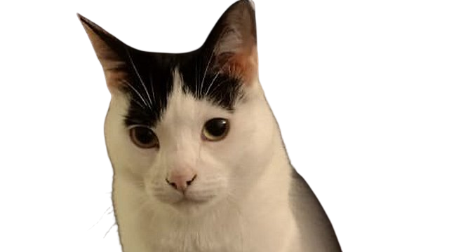 Tom