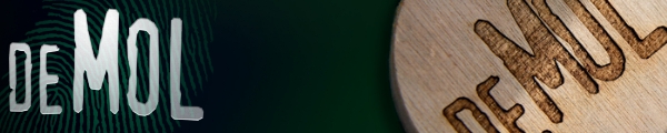 widm banner
