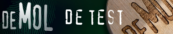 widm de test banner