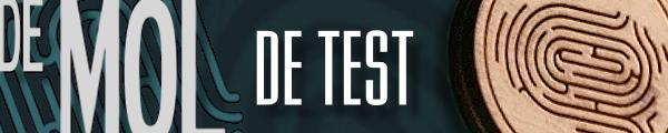 widm de test banner